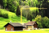 IIP Online Student Photography